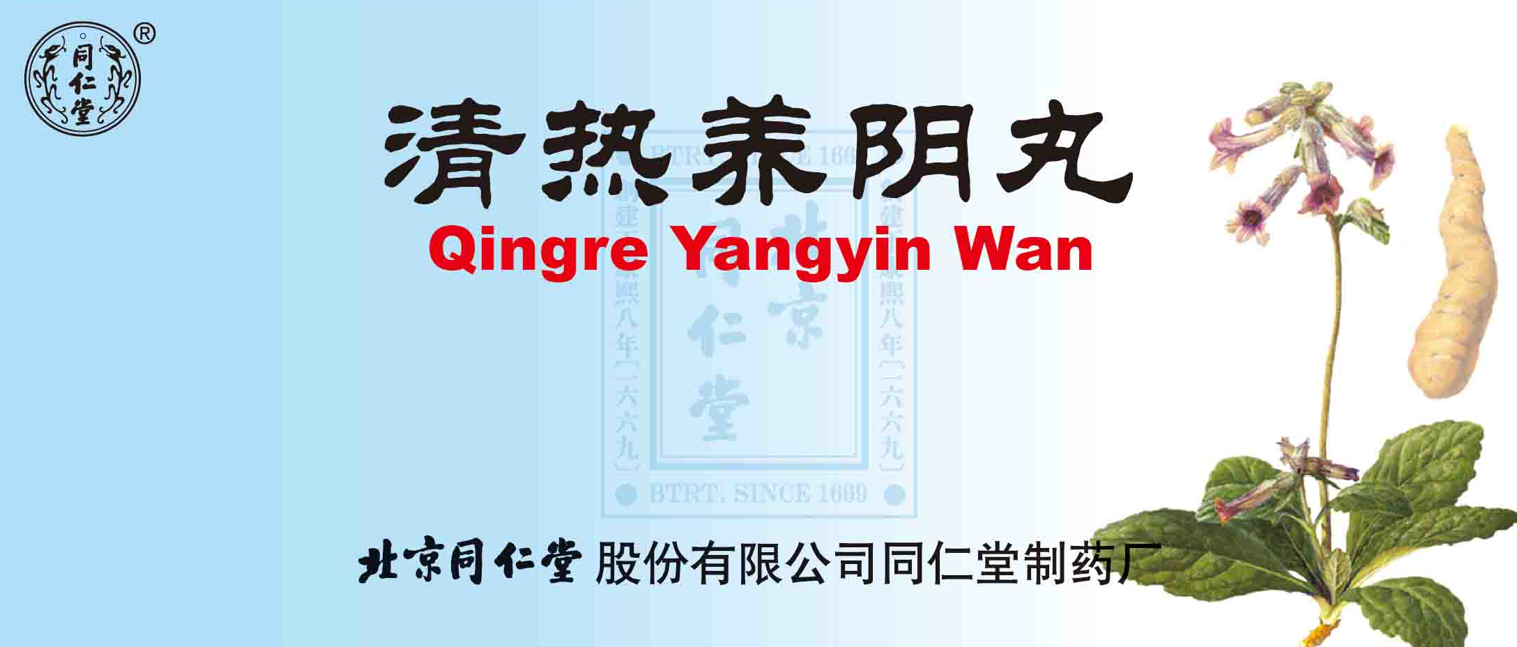 清熱養(yǎng)陰丸