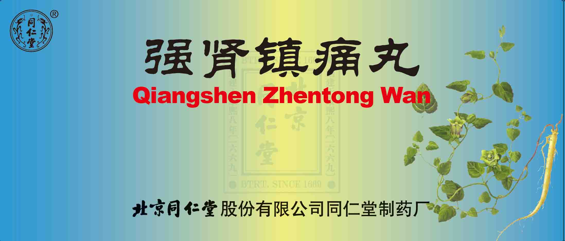 強腎鎮(zhèn)痛丸