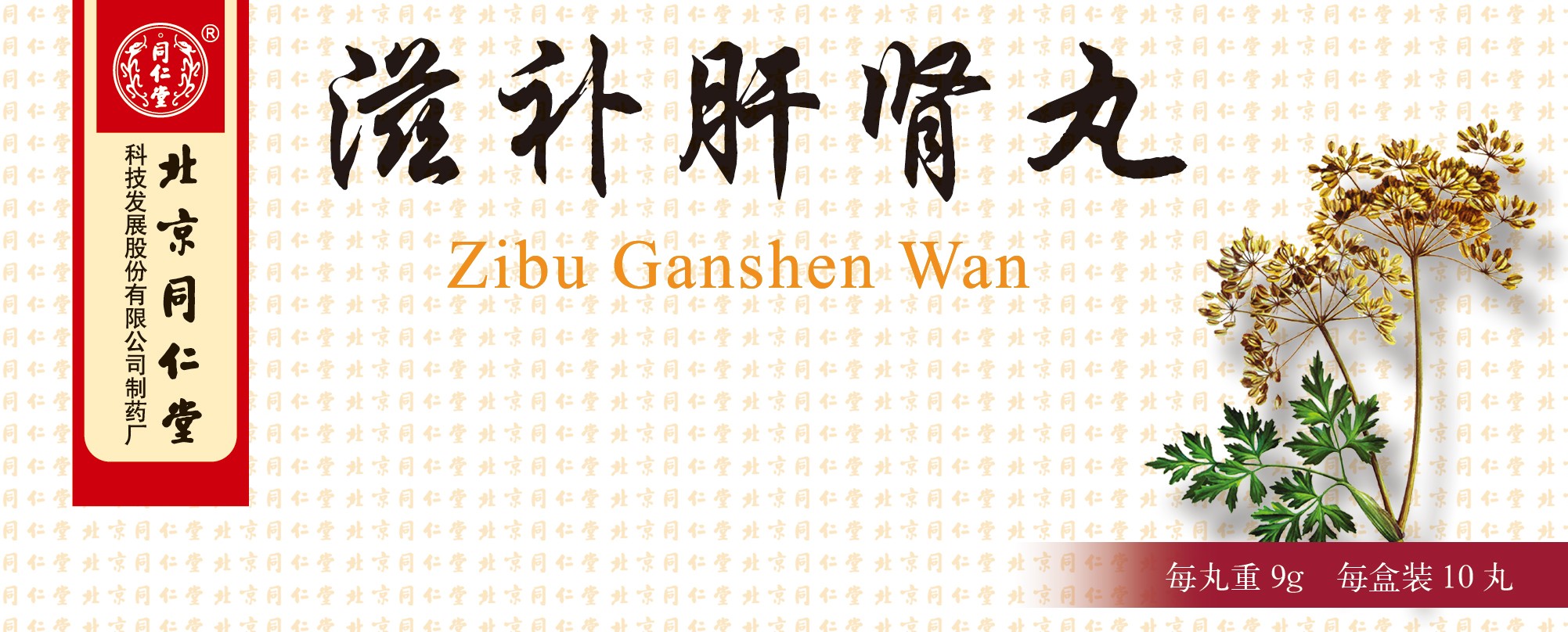 滋補(bǔ)肝腎丸